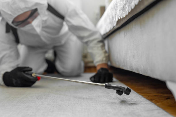Professional Bed Bug Control technician working in Menard County County, TX